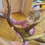 Dziewczynka podnosi poroże jelenia.
