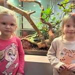 Dwie dziewczynki stoją przy terrarium z jaszczurką.