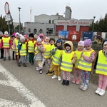 Grupowe zdjęcie Smerfów przed budynkiem Państwowej Straży Pożarnej.