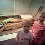 Dwie dziewczynki przy terrarium z iguaną.