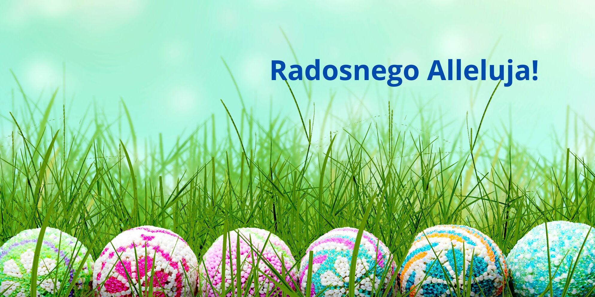 Radosnego Alleluja!.jpg