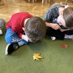 Dzieci oglądają liście za pomocą lup.